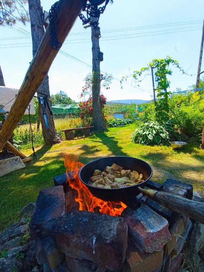 Dom na Przedgórzu Apartamento Świeradów-Zdrój Exterior foto